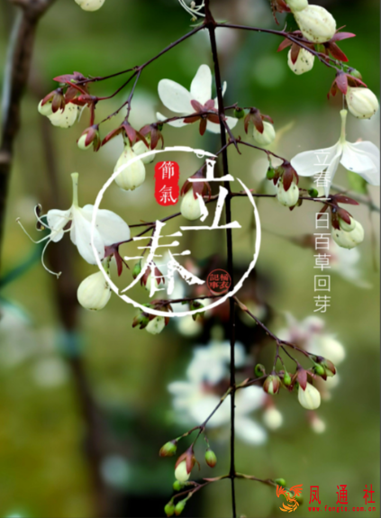 立春春困来袭？这几个实用方法帮你轻松解困