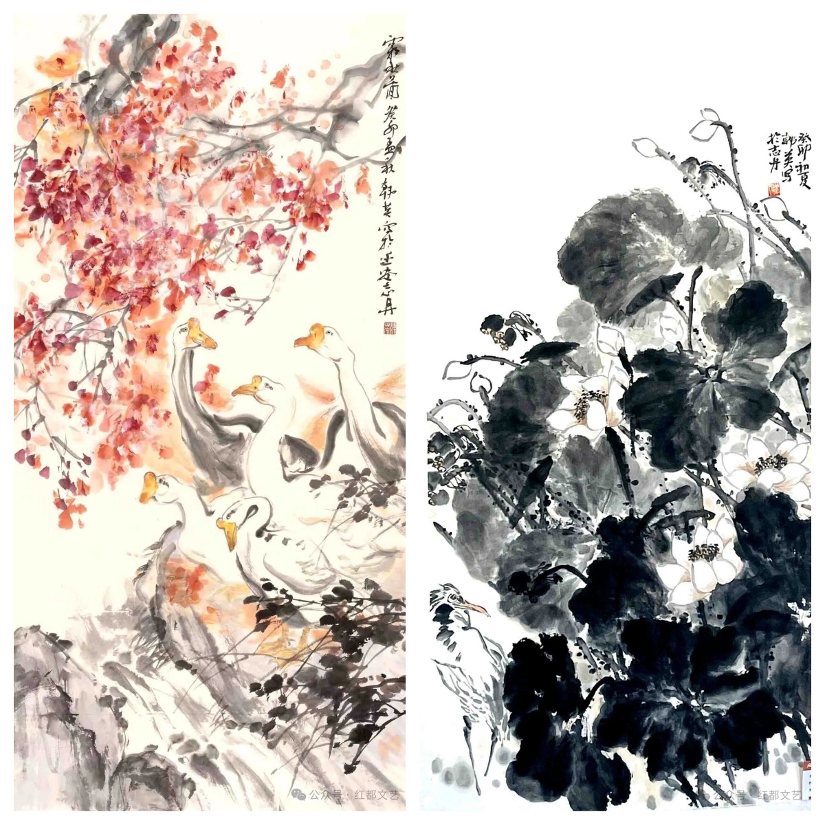 1770992442717915.jpg 1770992442717915.jpg